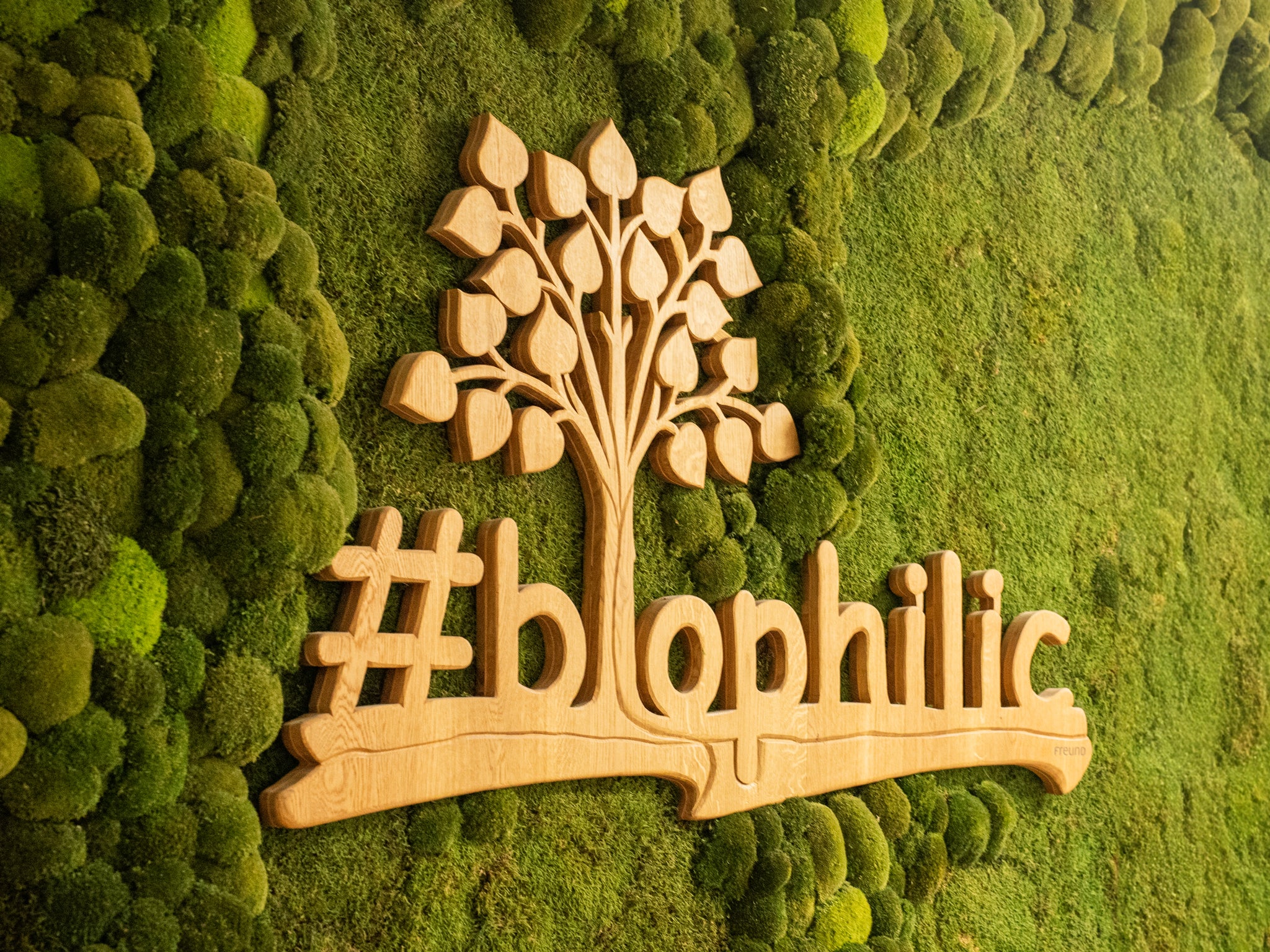 Nahaufnahme einer Mooswand